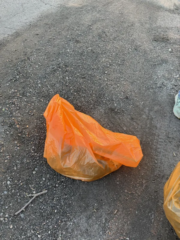 TRASH! No longer on the Earth.